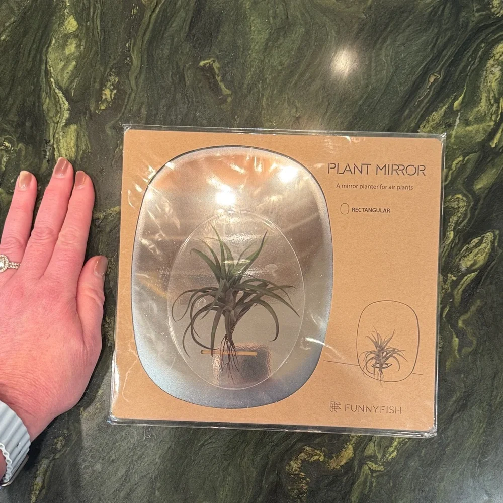 Rectangle Mirror Planter For Air Plants